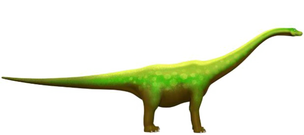 Diplodocus Transparent PNG Image