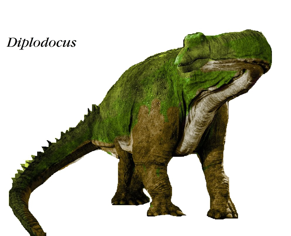Diplodocus File Transparent PNG Image