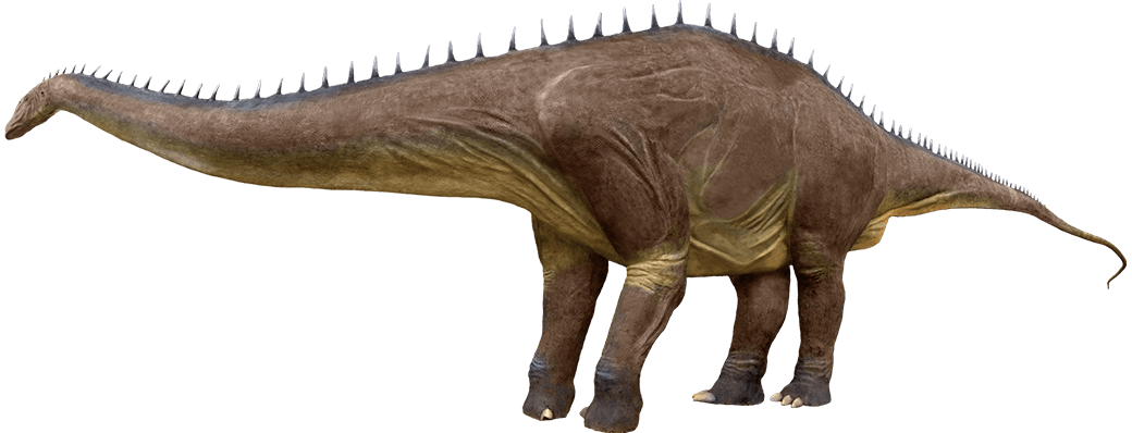 Diplodocus Transparent PNG Image