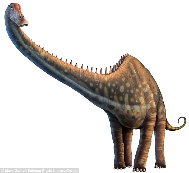 Diplodocus Transparent PNG Image