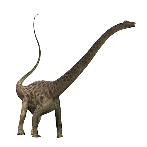 Diplodocus Transparent PNG Image