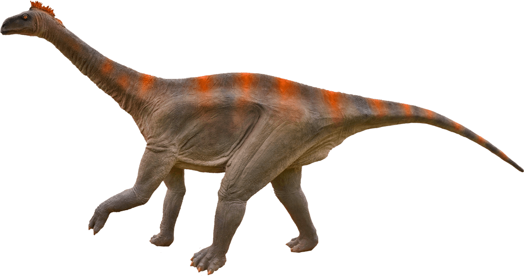 Diplodocus Transparent PNG Image