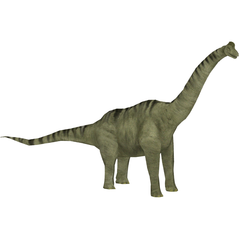 Brachiosaurus Transparent PNG Image