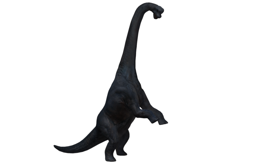 Brachiosaurus Transparent PNG Image