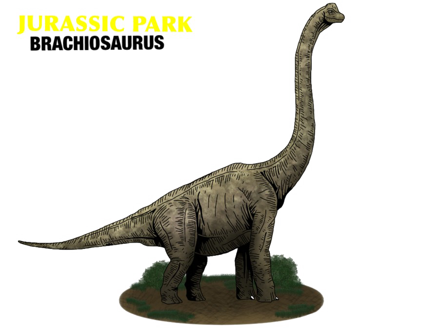 Brachiosaurus Transparent PNG Image