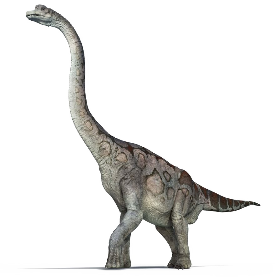 Brachiosaurus File Transparent PNG Image