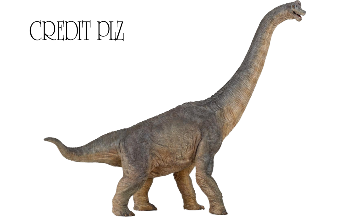 Brachiosaurus Transparent PNG Image