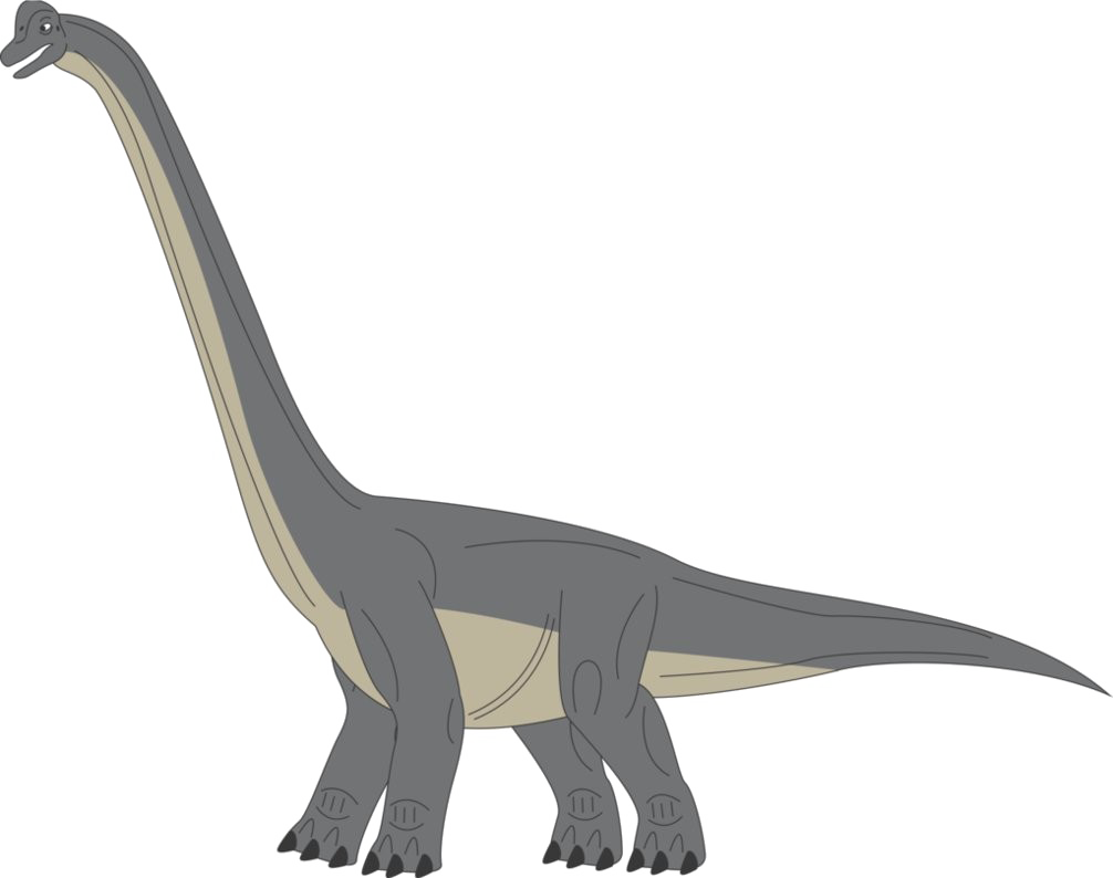Brachiosaurus Transparent PNG Image
