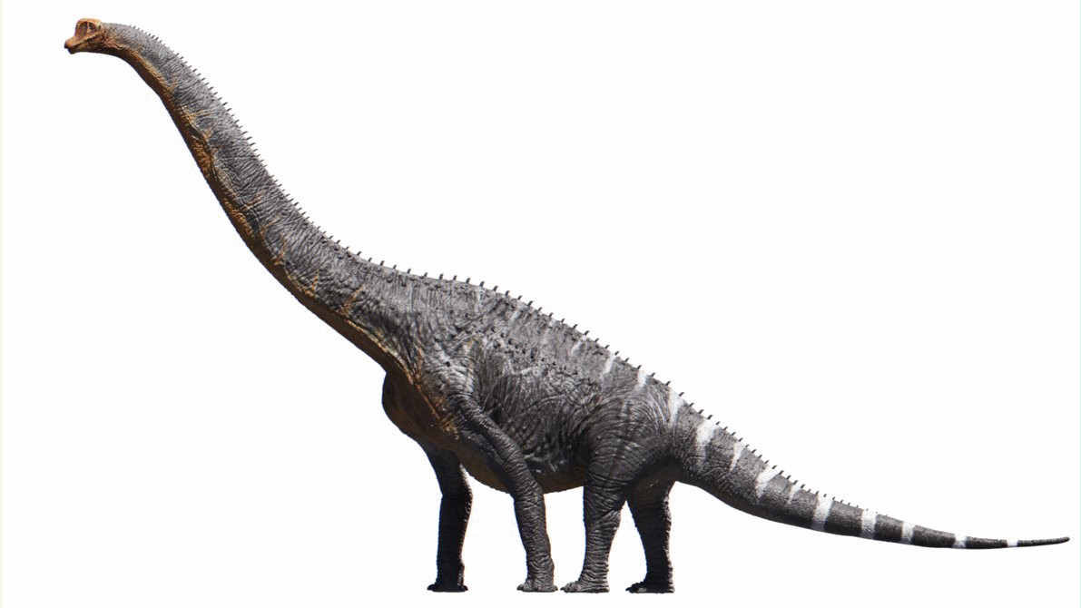 Brachiosaurus Transparent PNG Image