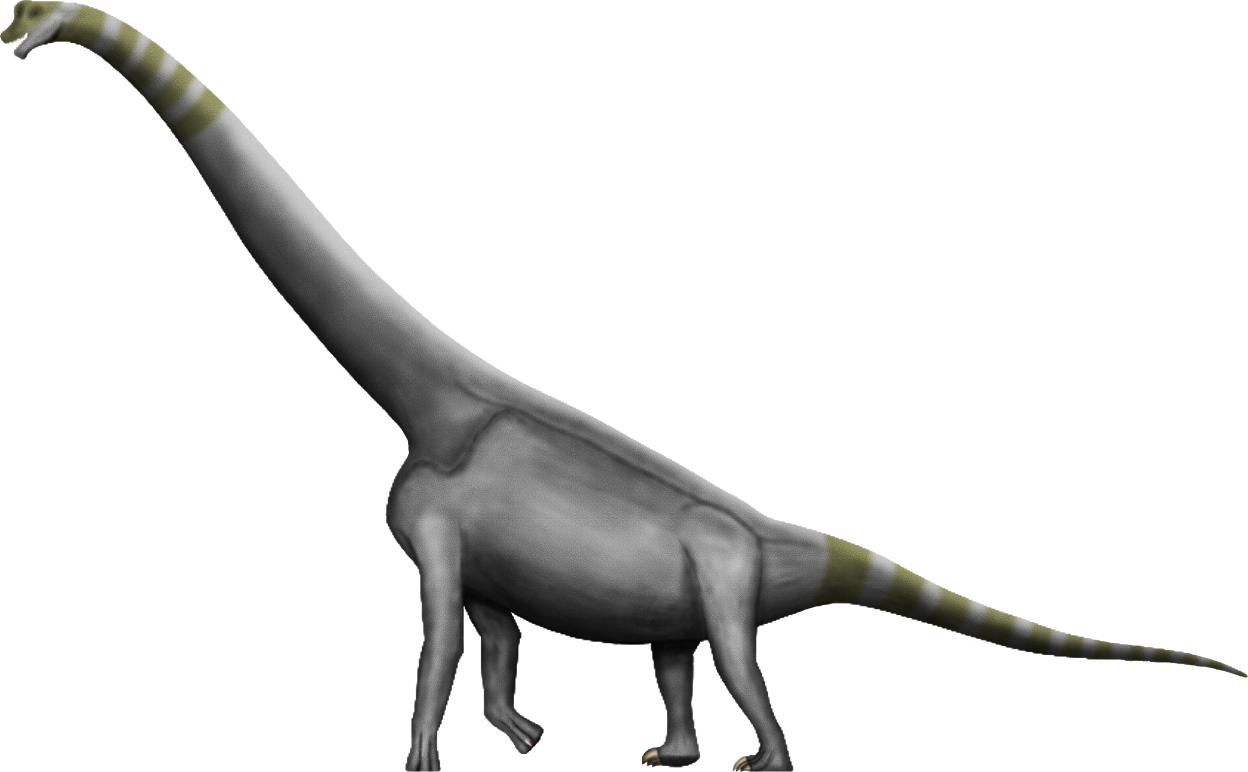 Brachiosaurus Transparent PNG Image