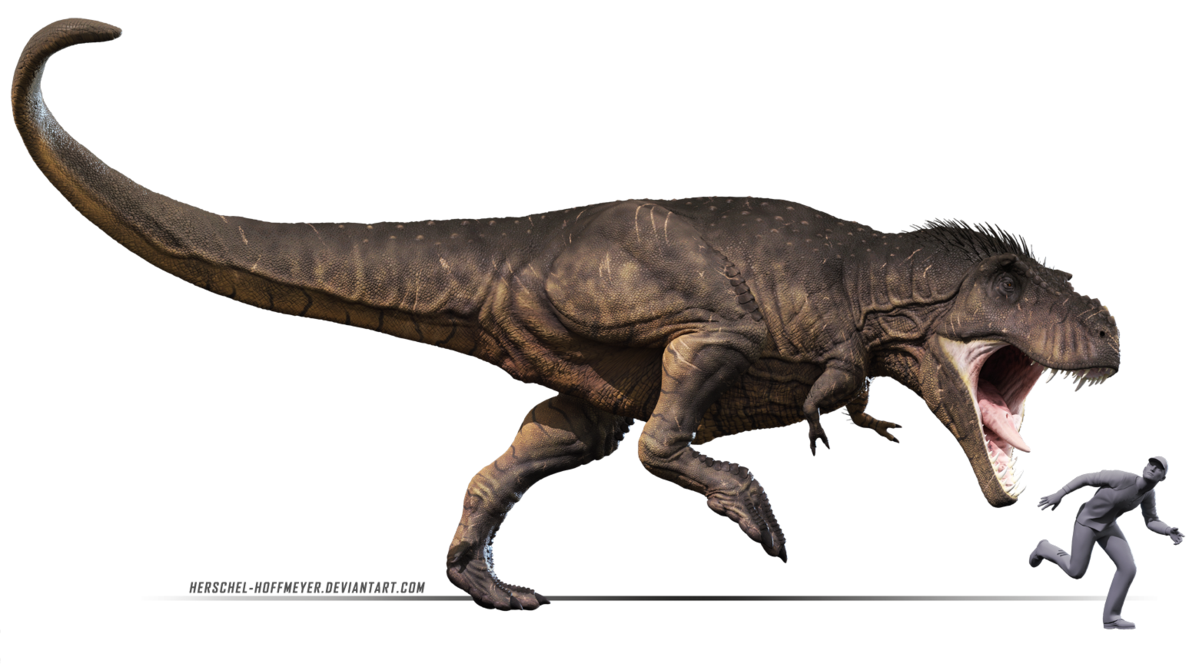 T Rex Transparent PNG Image