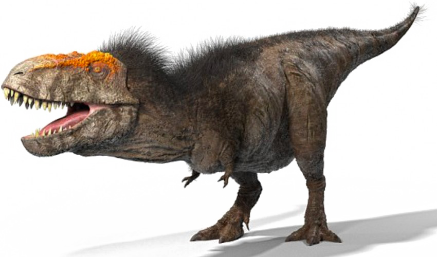 T Rex Transparent PNG Image