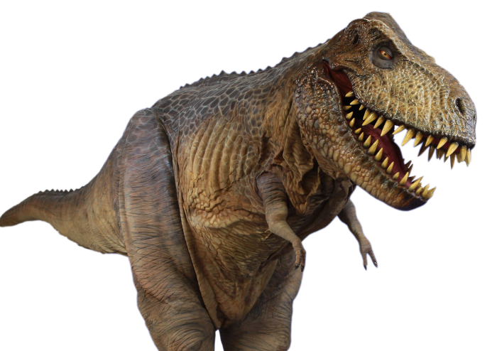 T Rex Transparent PNG Image