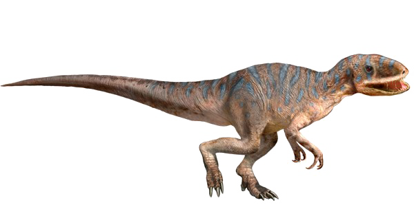Theropod Transparent PNG Image