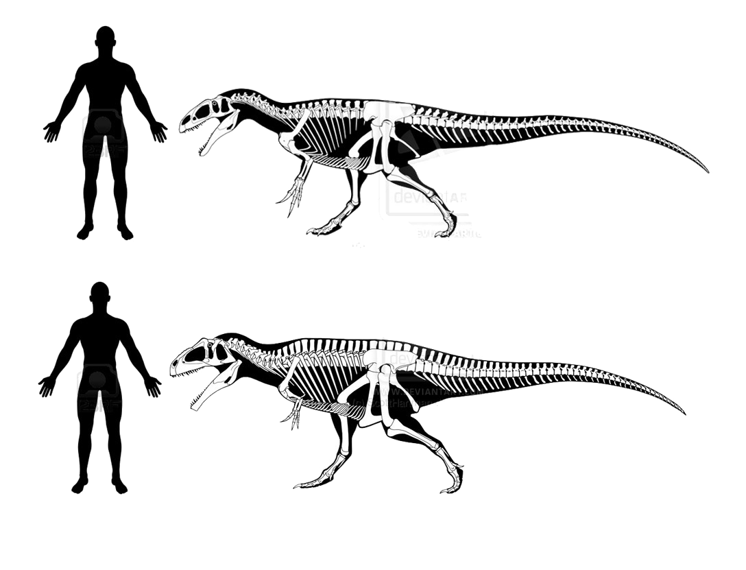Theropod Transparent PNG Image