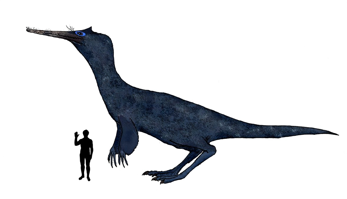 Theropod Transparent PNG Image