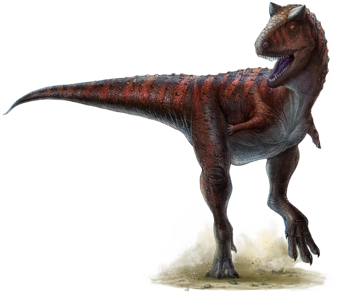 Theropod Transparent PNG Image