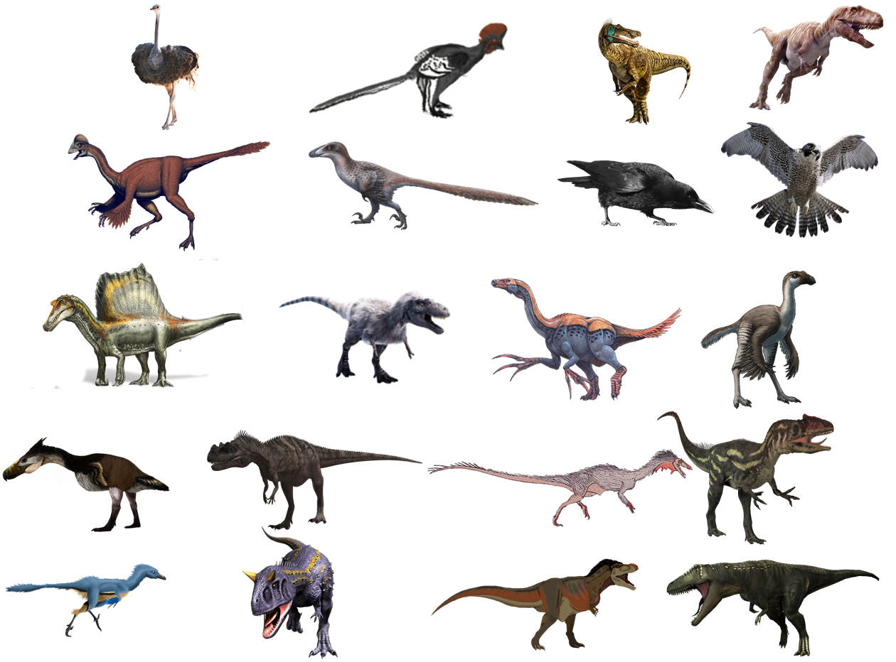Theropod Transparent PNG Image