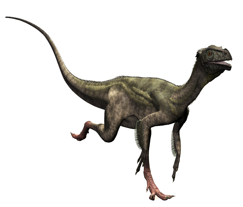 Theropod Transparent PNG Image