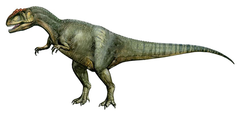 Theropod Transparent PNG Image