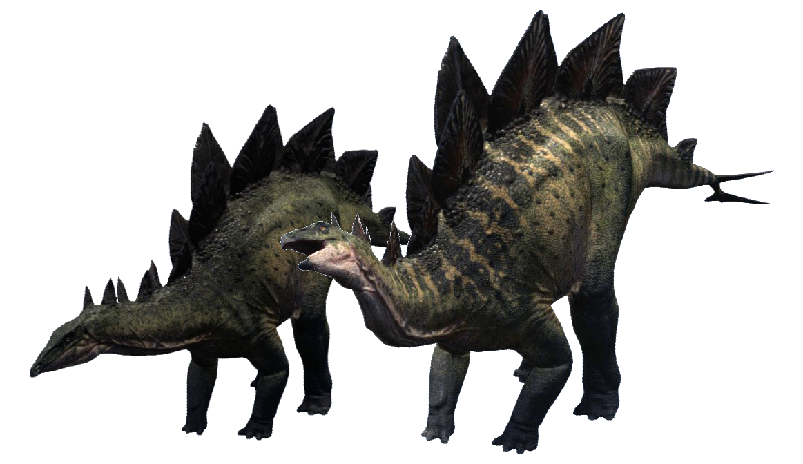 Stegosaurus Transparent PNG Image