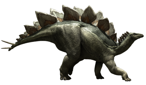 Stegosaurus Transparent PNG Image