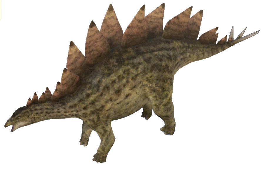 Stegosaurus Transparent PNG Image