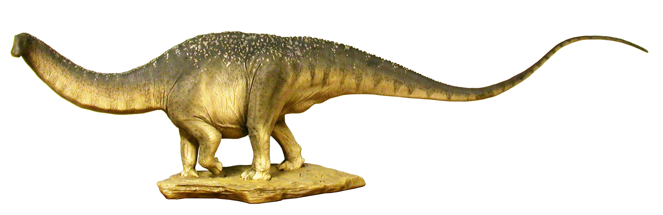 Sauropod Transparent PNG Image