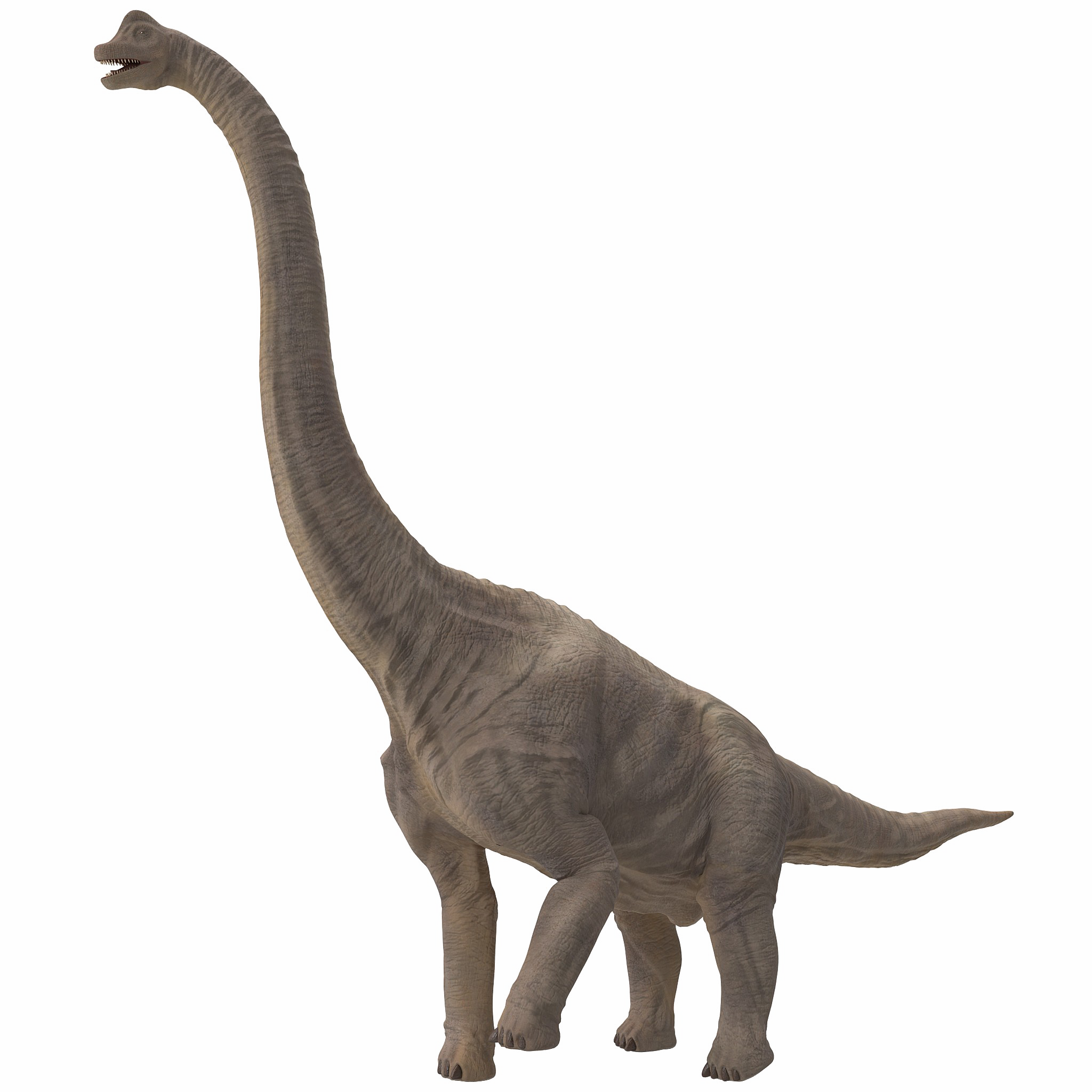 Sauropod Transparent PNG Image