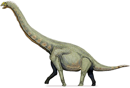 Sauropod Transparent PNG Image