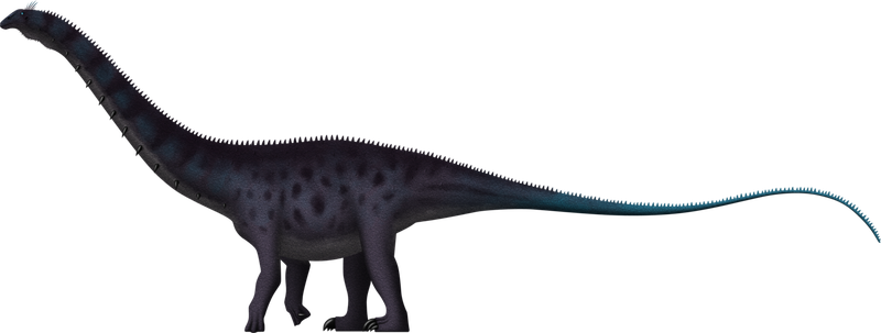 Sauropod Transparent PNG Image