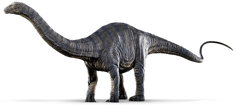 Sauropod Transparent PNG Image