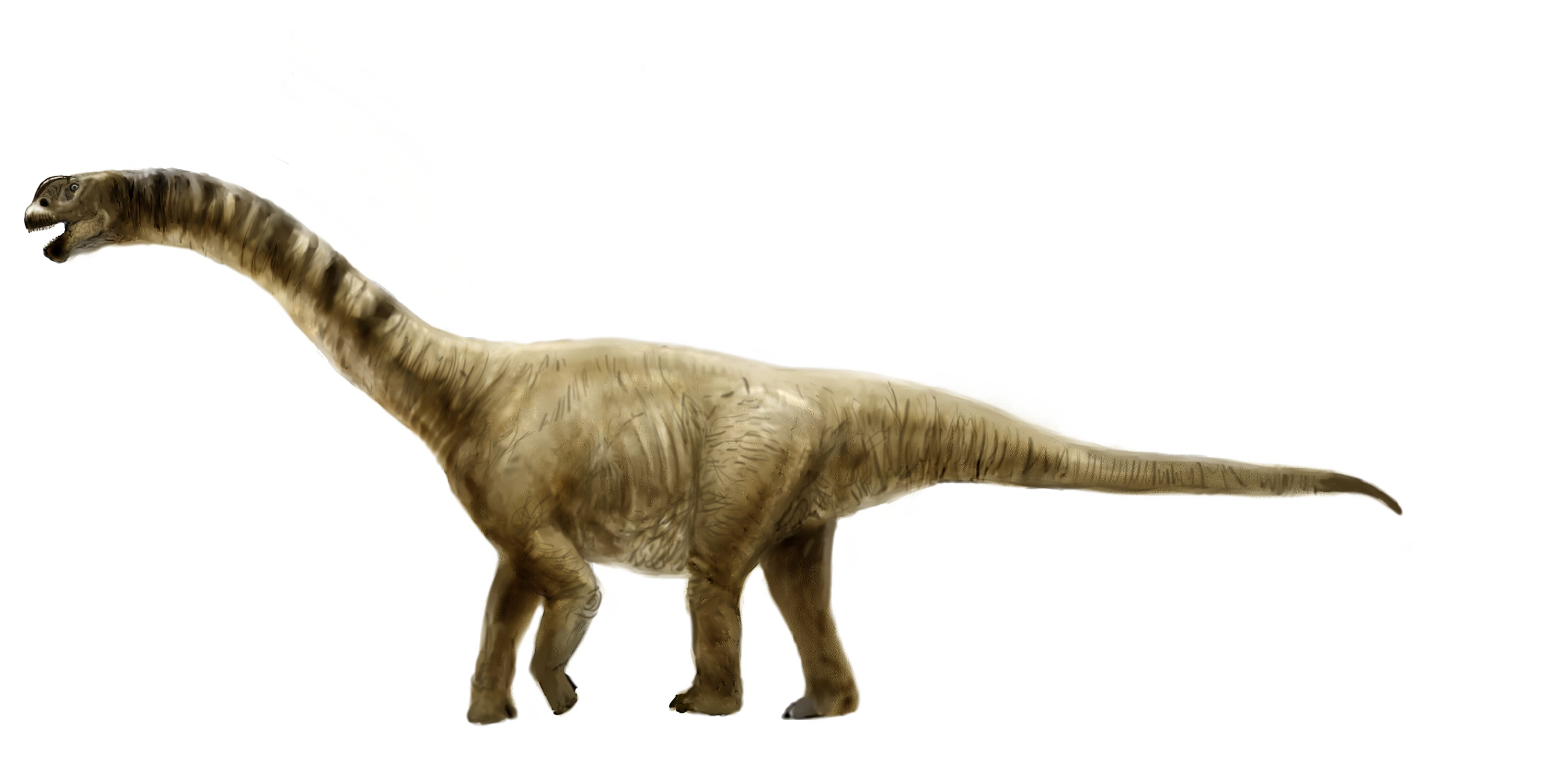 Sauropod Transparent PNG Image