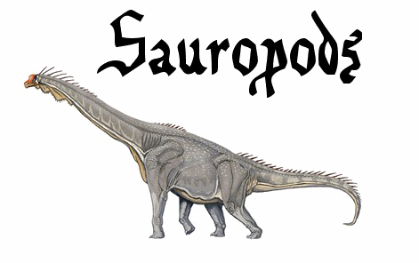 Sauropod Transparent PNG Image
