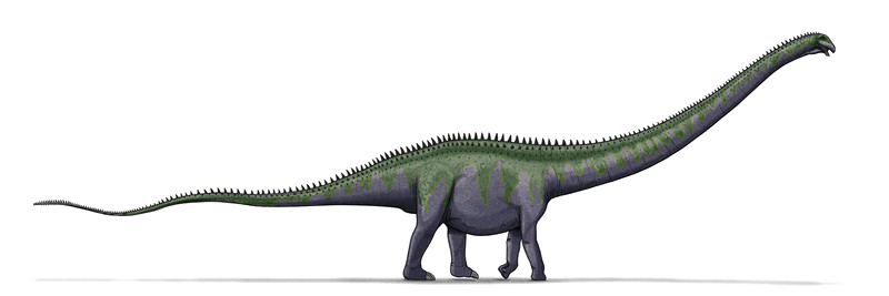 Sauropod Transparent PNG Image