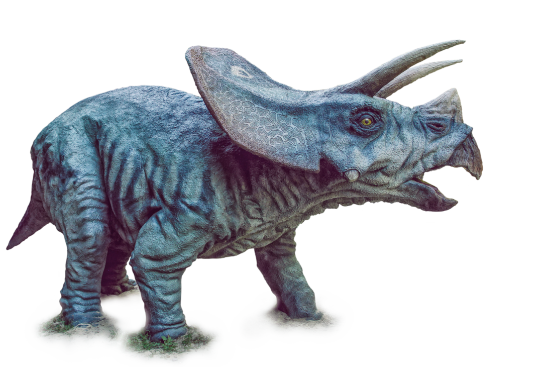 Triceratop Transparent PNG Image