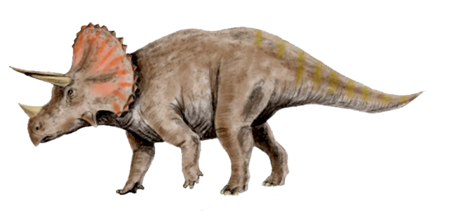 Triceratop Transparent PNG Image