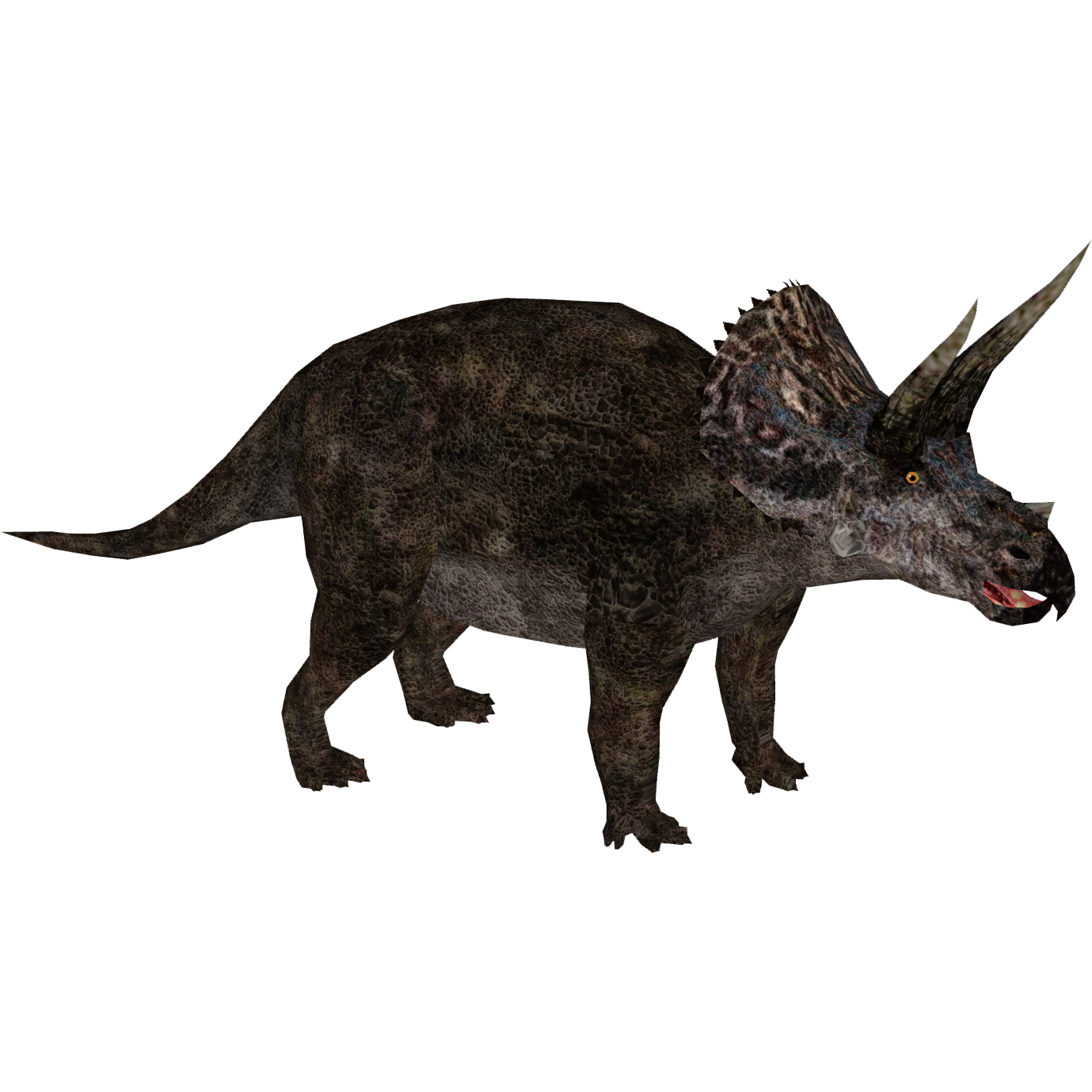 Triceratop Transparent PNG Image