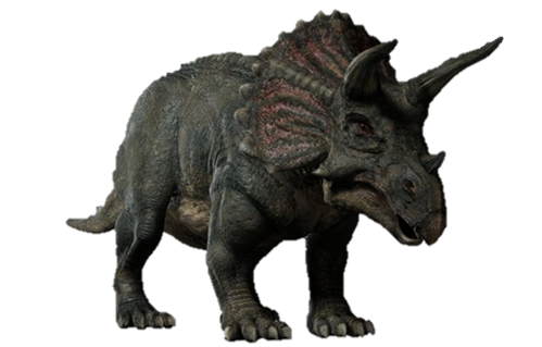 Triceratop Transparent PNG Image