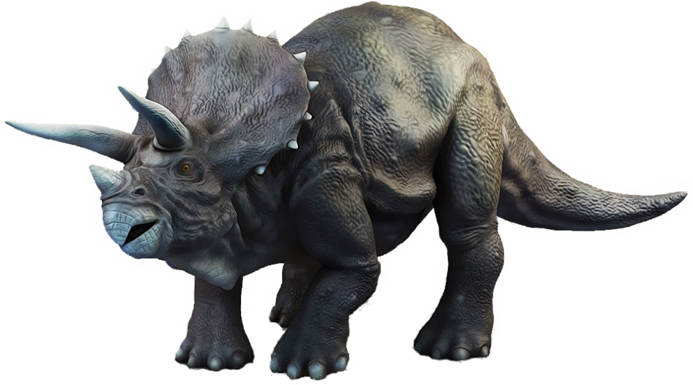 Triceratop Transparent PNG Image