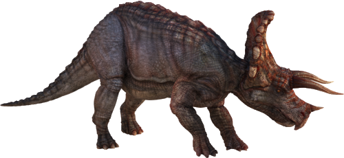 Triceratop Transparent PNG Image