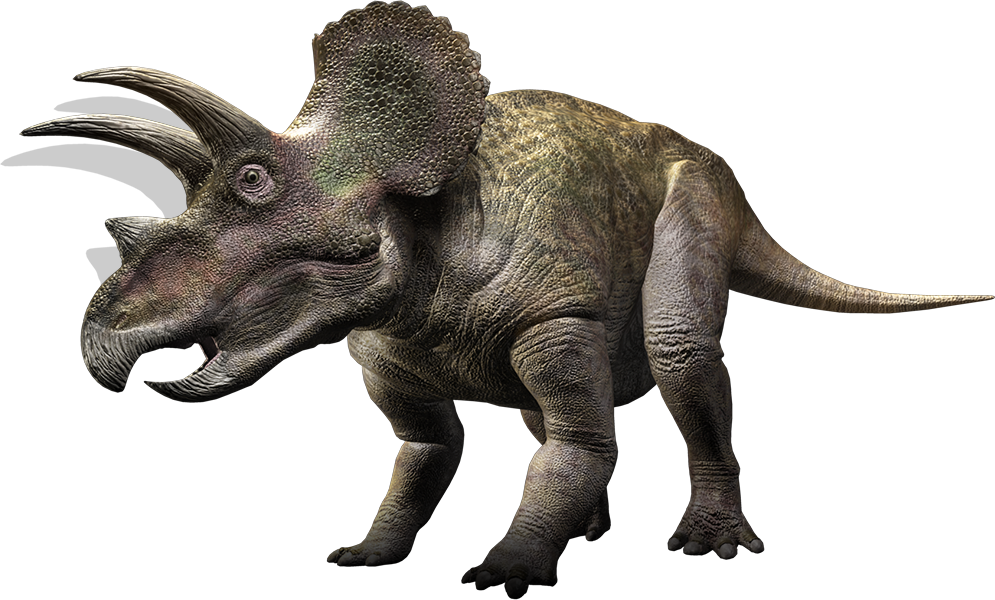 Triceratop Transparent PNG Image