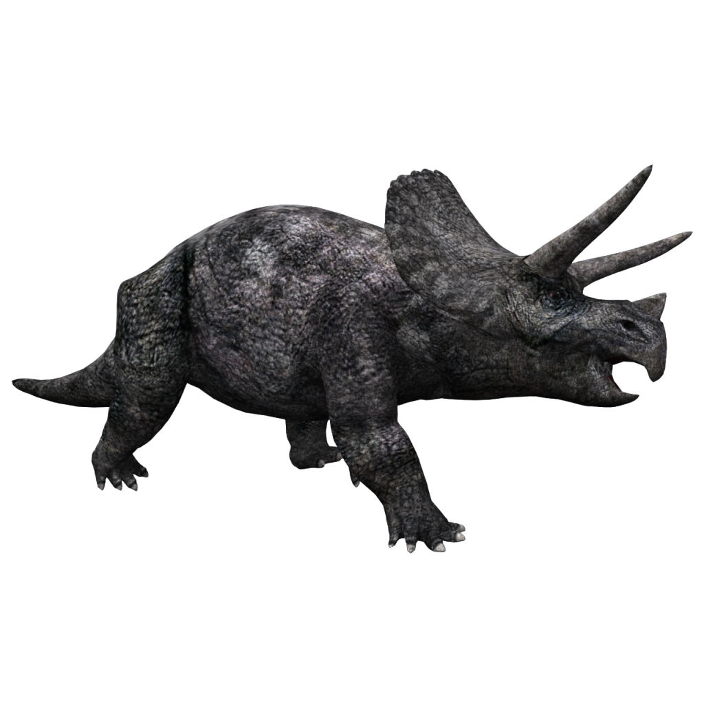 Triceratop Transparent PNG Image