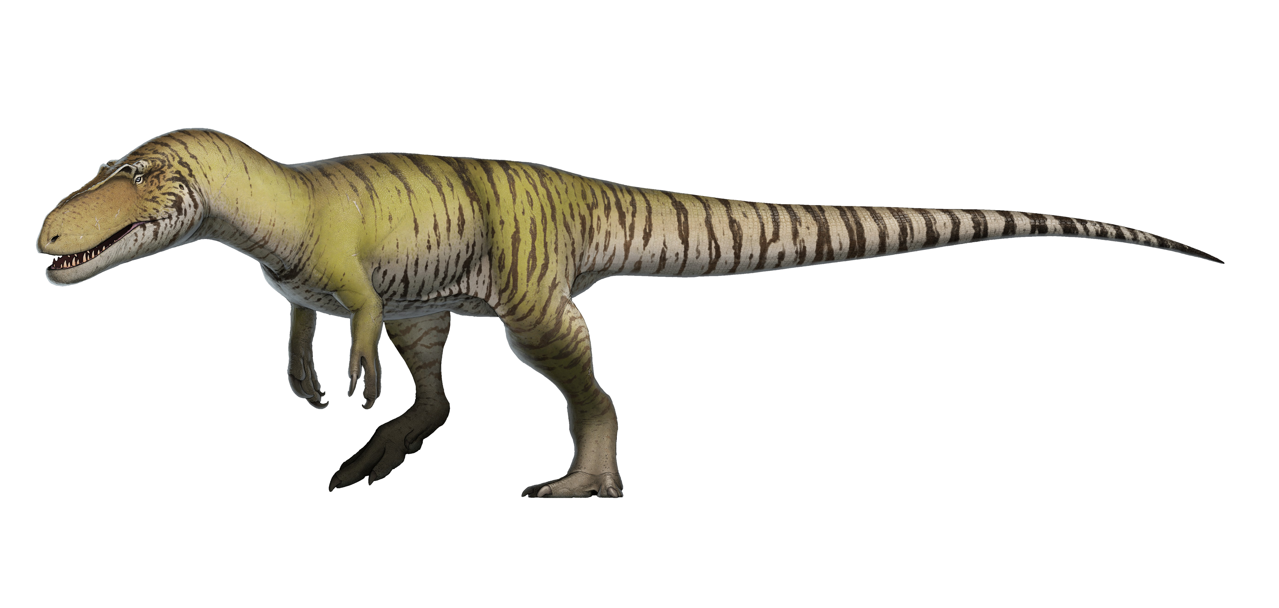 Theropod Transparent PNG Image