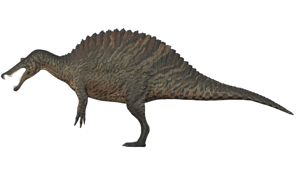 Spinosaurus Transparent PNG Image