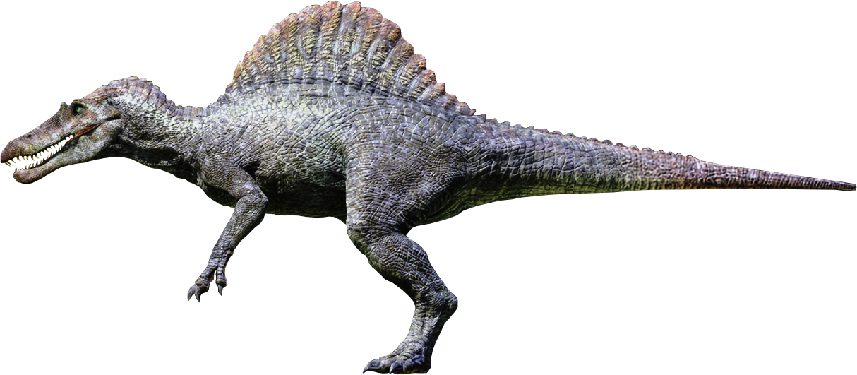 Spinosaurus File Transparent PNG Image