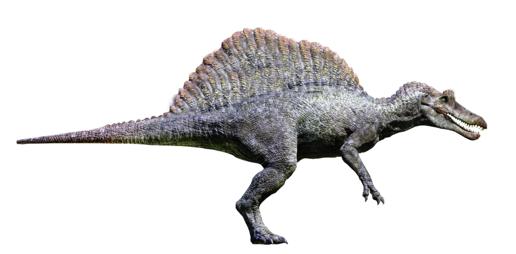 Spinosaurus Transparent PNG Image