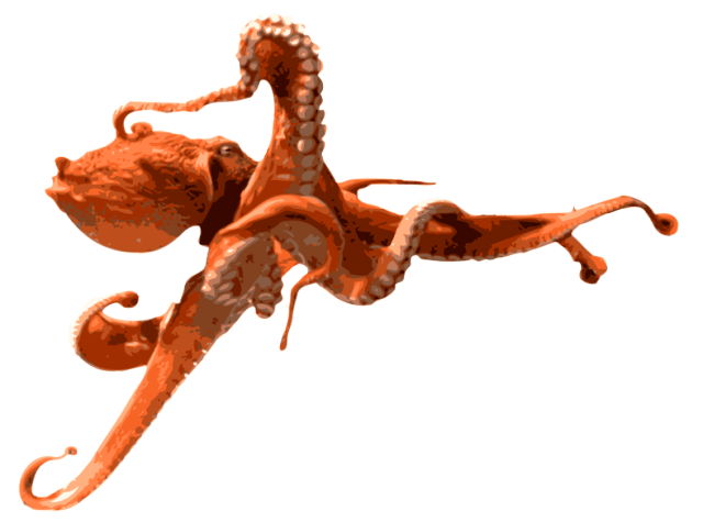 Octopus Transparent PNG Image
