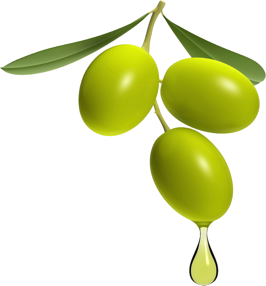 Olive Transparent PNG Image