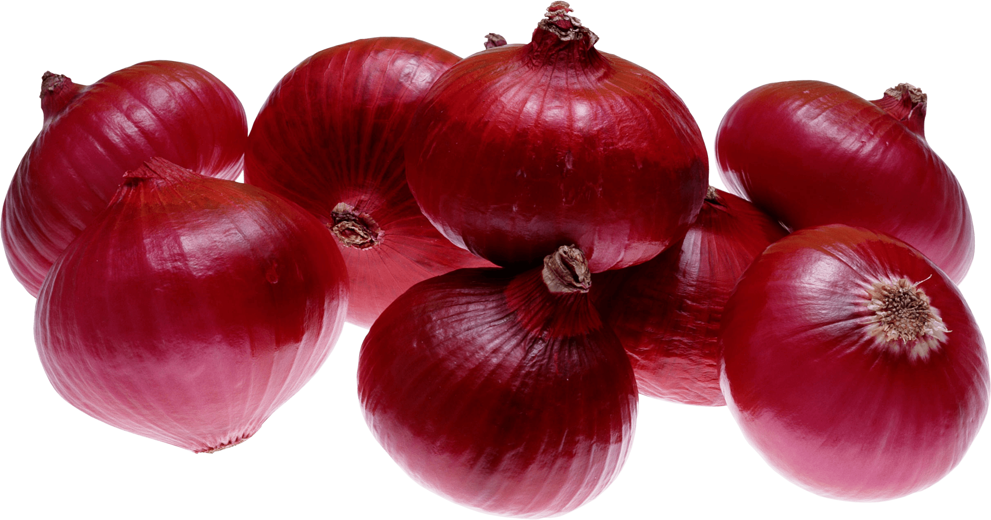 Red Onion Transparent PNG Image